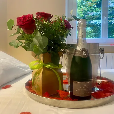 Le Nid Douillet Balcon, Wifi, Centre-ville * Millau